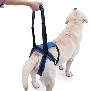 Arnês para Cães Sem Puxar Ajustável e Confortável em Poliéster com Malha Respirável para Suporte às Patas Traseiras - Product Image 2