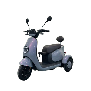 รถสามล้อผู้ใหญ่ลดราคาพิเศษ 3 ล้อ ยางใหญ่ มีหลังคา - Product Image 6