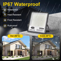 Projecteur LED extérieur commercial IP66 étanche 30W 50W 100W 150W 200W Super lumineux Économie d'énergie pour rues et stades