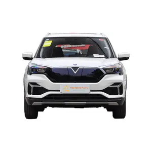 VENUCIA T60EV 저렴한 빠른 준비가 지능형 자동차 SUV 2022 중고 전기 자동차 새로운 에너지 차량을 배송