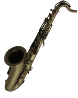 Eastern Music Brass Body Bb Tenor Saxophone Professional Wind Instrument Model TS300Q Rust Resistant for Students