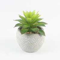 Pot de Plante Succulente Moderne sur Mesure en Ciment pour la Décoration Intérieure – Divers Types de Pots à Bonsaï et Jardinières