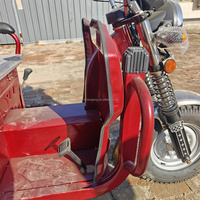 Triciclo de Carga a Gasolina de 3 Ruedas Motocicleta a Combustible Motorizada Camión con Motor de 150cc para Transporte de Adultos con Furgoneta Abierta