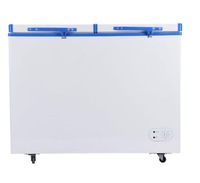 Congélateur Solaire 100L 150L 200L 250L 300L 350L pour Zone Hors Réseau avec Batterie de Secours et Contrôleur Panneau Solaire Optionnel