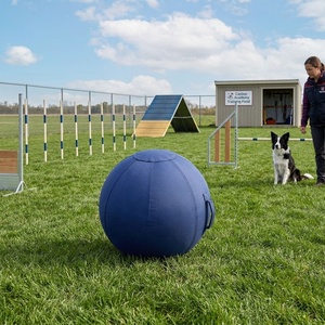 Housse de protection gonflable robuste pour ballon de dressage et de jeu pour chiens Blue Heelers et Mega Horse, en 1680D durable avec doublure, résistante aux déchirures, pour l'extérieur - Product Image 4