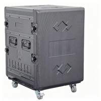 Boîtier de rack en plastique PE 8U/12U/14U/16U, Flight case antichoc à roulettes pour mixeur audio et amplificateur