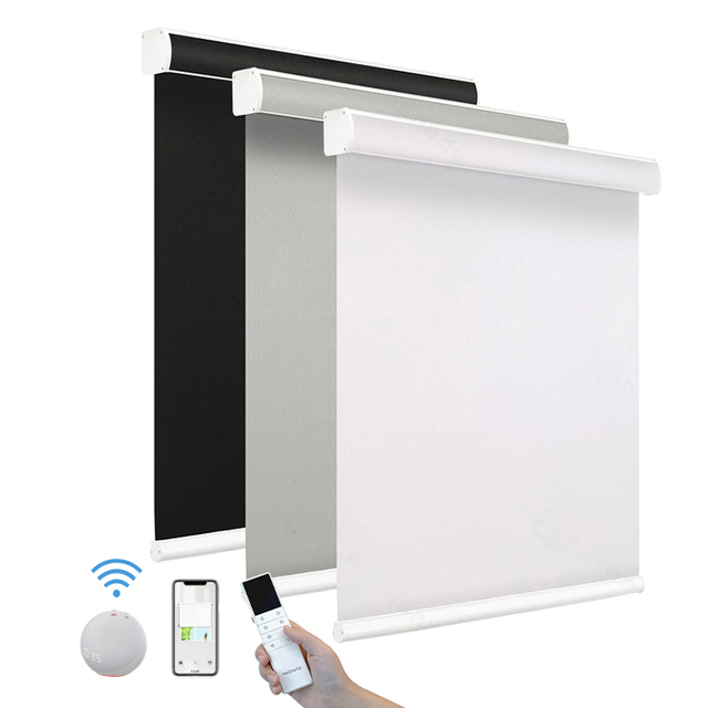 High Quality Roller Blade Shade for Window Double Layer Day and Night Smart Electric Motorized Roller Blinds