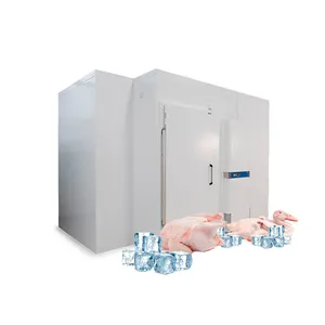 Conservazione frigorifera di pesce congelato prezzo della stanza 40Ft contenitore congelatore 20Ft cella frigorifera