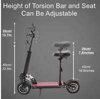 Trottinettes électriques pliables rapides avec siège, pneus de 10 pouces, 800W, 45 km/h, pour adultes, en stock dans l'entrepôt européen de l'UE