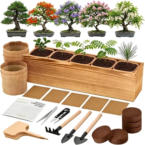 Kit Completo <span class=keywords><strong>de</strong></span> Bonsái, Juego <span class=keywords><strong>de</strong></span> Plantas en Maceta con Caja <span class=keywords><strong>de</strong></span> Madera Personalizable, Regalo Perfecto para Mujeres, Hombres, Madres y Amigos - Product Image 3