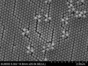 Microsphères fluorescentes pour le comptage absolu en cytométrie en flux - Qualité diagnostique de laboratoire et clinique - Product Image 3