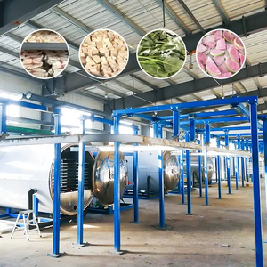 Liofilizador grande, máquina liofilizadora, productos químicos de secado por congelación, alimentos, verduras, incluyendo fresas, equipo secador de frutas - Product Image 3