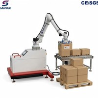 Sıcak Satış Fabrika Fiyatı İşbirlikçi Otomatik Kutu Karton İstifleme Robotu Paletleyici Yüksek Hızlı Paslanmaz Çelik