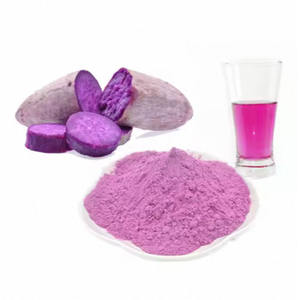 Pasokan gratis sampel bubuk bengkoang ungu - Product Image 3