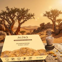 Tasses d'encens Loban Sambrani Dhoop personnalisées pour Chakra spirituel équilibrant la décoration intérieure religieuse désodorisant de chambre prix d'usine