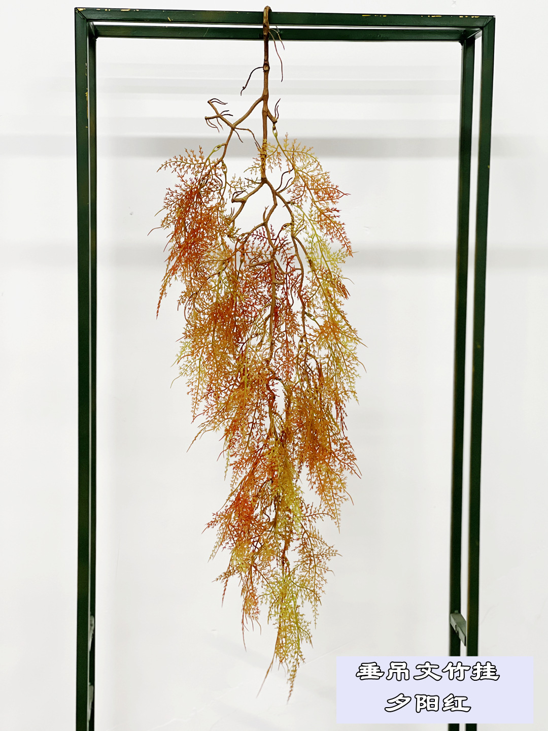 Hanging asparagus hanging sunset red