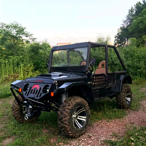 Voiture Jeep 350CC, Jeep à essence 350cc, voiture tout-terrain, voiture d'occasion, prix bas, à vendre - Product Image 1
