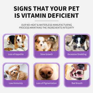 OEM 15-in-1 multivitaminico morbido mastica per cani cibo per animali domestici erbe probiotici integratore masticabile per la salute della pelle di intestino cura del cuore - Product Image 2