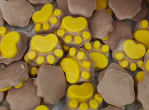 עוגיות בשר חלב מיובש בהקפאה עוגיות טופר בצורת טופר לחתולים ולכלבים חטיפים - Product Image 4