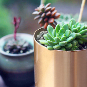 Usine <span class=keywords><strong>En</strong></span> Gros <span class=keywords><strong>En</strong></span> Métal Pot De Fleur Moules Grands Jardinières <span class=keywords><strong>En</strong></span> <span class=keywords><strong>Zinc</strong></span> pour Intérieur Extérieur Décoratif Jardin Galvanisé Seau Personnalisé - Product Image 6