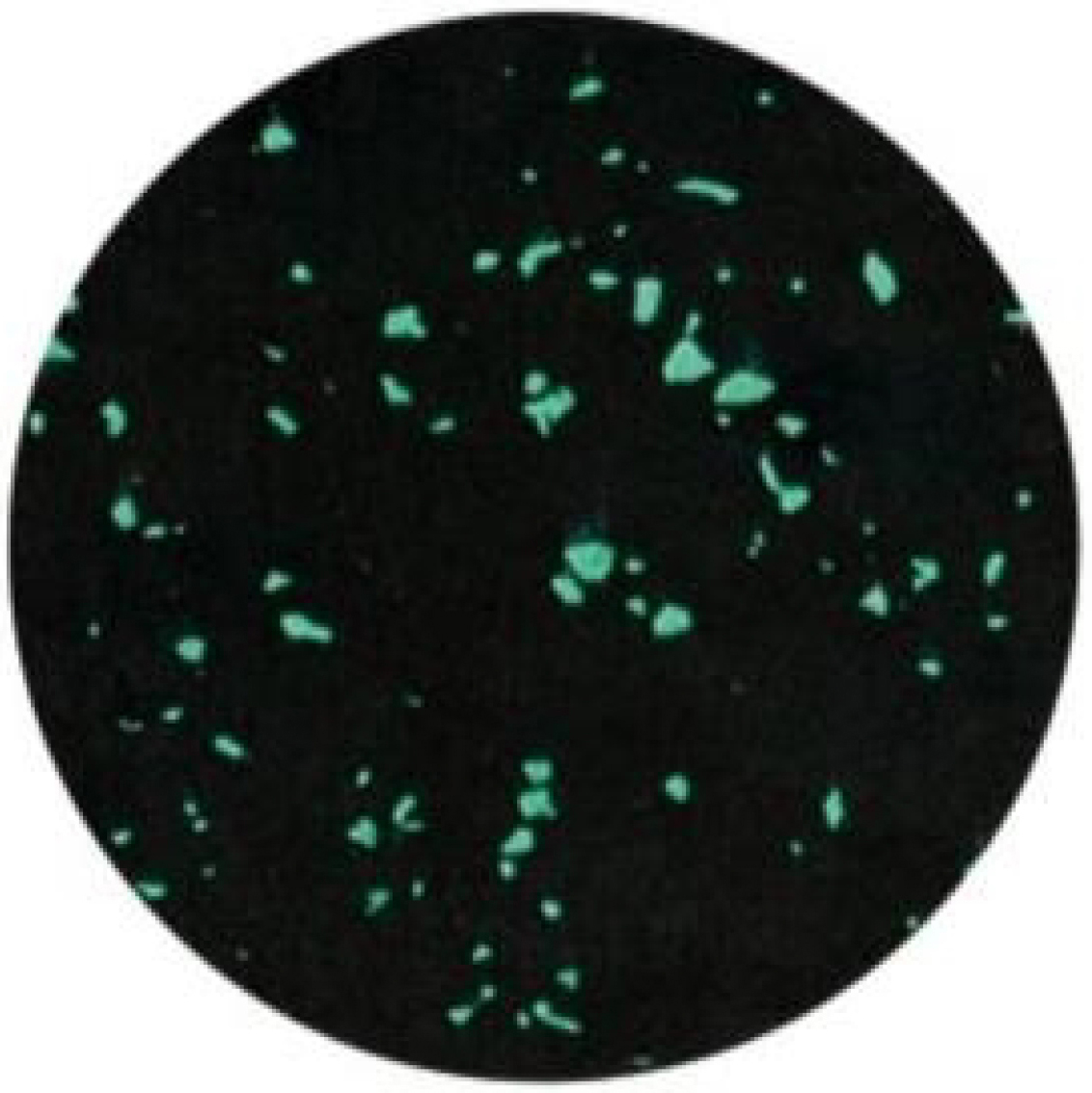 COMPOSITE-green dot