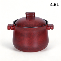 Marmite en céramique avec couvercle en céramique, compatible induction, grande capacité 4,6 L, prête pour gaz et induction, revêtement alimentaire, ensemble d'ustensiles de cuisson