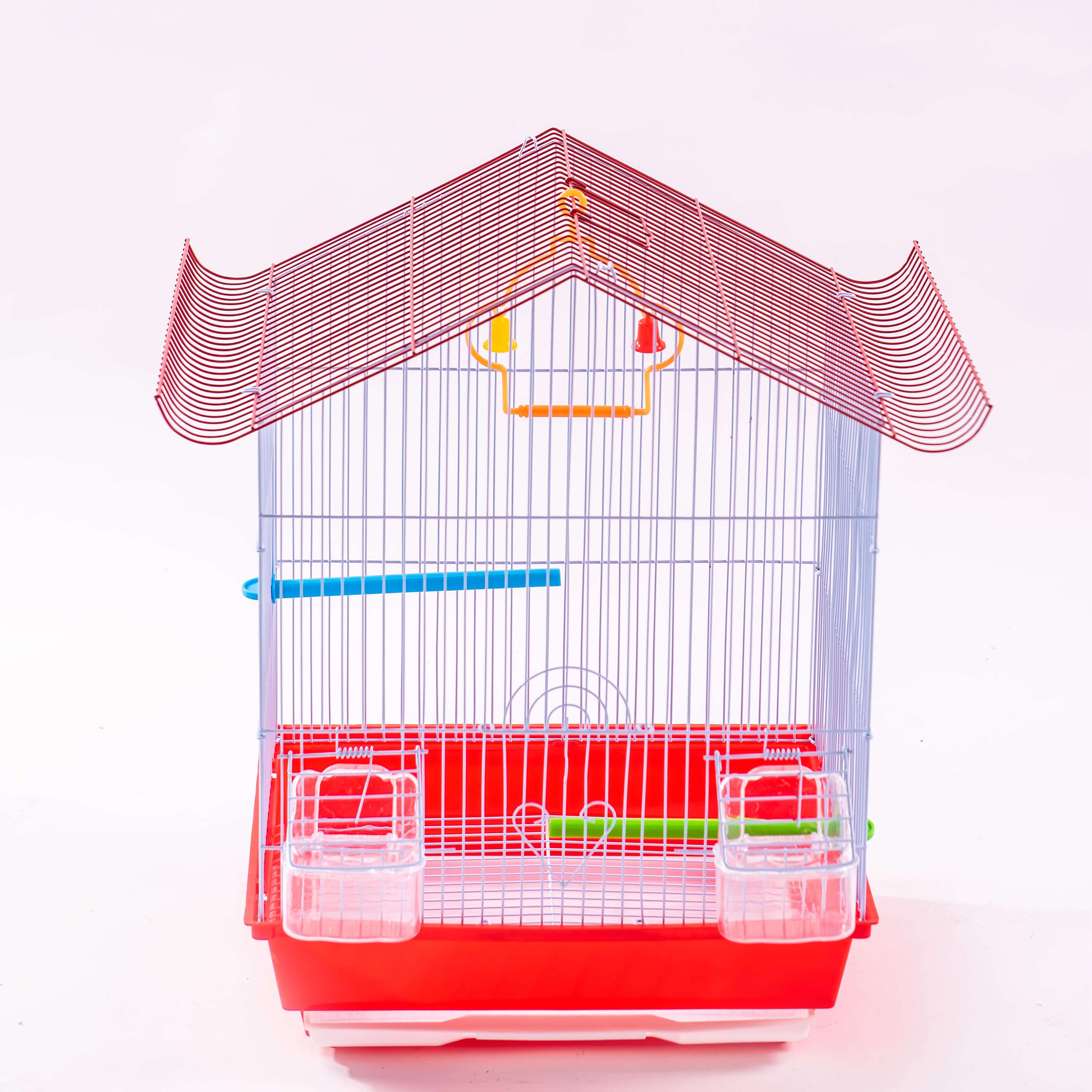 Bird Market Exptic Birds For Sale Real Birds For Sale Top