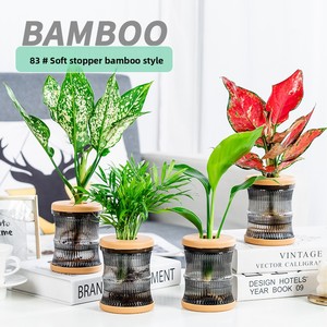 <span class=keywords><strong>Pot</strong></span> de fleurs hydroponique créatif en résine PET transparente P443, petit, simple, design épuré, pour une utilisation sur le bureau - Product Image 6
