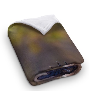 Tùy Chỉnh 100% Ảnh Polyester Lông Cừu Ném Chăn Dropshipping Ấm Cúng Manta Cho Mùa Đông - Product Image 6