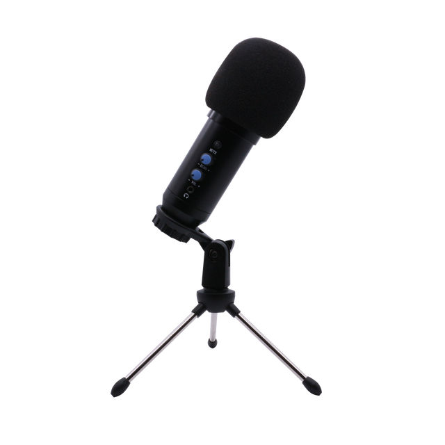 Accuracy Pro Audio EM-800 Hot Sale New Design Podcast USB Microfone Professional Studio Recording Condenser Microphone