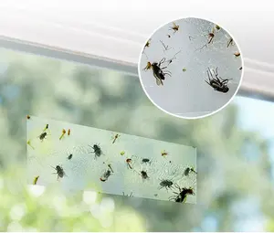 Fly Catcher Clear Windows Trap per la casa, House Fly Killer Lady Bug trappole