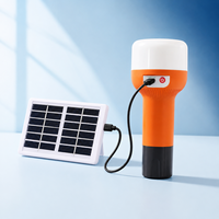 Lanterne solaire de camping avec lampe torche 2400mAh 21 LED, rechargeable par Type-C, lumière d'urgence avec panneau solaire