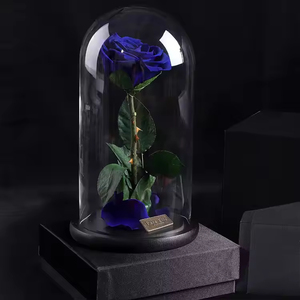 Roses éternelles naturelles de longue durée conservées en Équateur, roses éternelles réelles de longue durée - Product Image 5