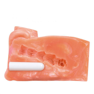 Masturbador Realista de Silicona Impermeable con Doble Orificio Anal y Púbico, Molde Invertido, Vibrador con Forma de Gato Naranja para Hombres - Product Image 6