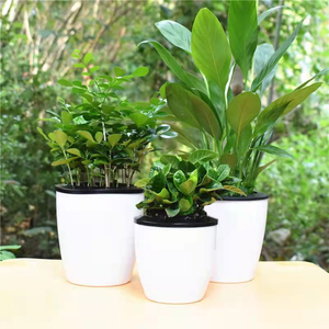 Usine En Gros Auto-Arrosage Pots <span class=keywords><strong>De</strong></span> Plantes <span class=keywords><strong>Grande</strong></span> <span class=keywords><strong>Taille</strong></span> Blanc Automatique Absorbant L'eau Plastiques Jardinières <span class=keywords><strong>De</strong></span> Fleurs pour La Maison Jardin - Product Image 6