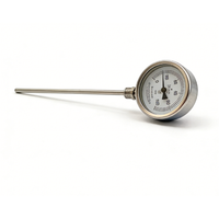 Termometro Meccanico Industriale con Sonda in Acciaio Inox, Comunicazione USB, Personalizzazione OEM/ODM