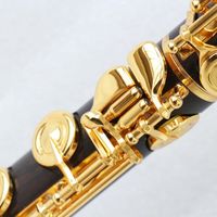 High Quality Flute Professional Ebony Wood Flute Instrument with Gold Plated Keys Flute