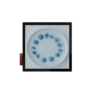 4.0 Tft Lcd Display Vierkante Tft-scherm 480X480 Tft Lcd 4 Inch Squad Lcd Spi Rgb Ips Voor Smart Home - Product Image 6