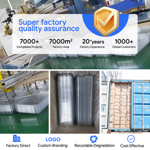 Cajas de Plástico PET Transparente Reciclables Tipo Concha para Arándanos, Adecuadas para Arándanos, Tomates y Uvas - Product Image 6