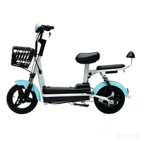 Vélo Électrique Adulte 2 Roues Prix Usine 48V 350W Moteur Électrique Sans Balais Cadre en Acier Carbone Mobylette Longue Portée à Vendre