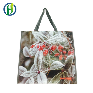 Bolsa Tejida de PP Laminado Reciclado de Moda Económica de China 2023 con Estampados de Animales - Product Image 4
