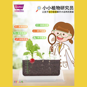 Onshine Little Plant Researcher, boîte de culture transparente pour la croissance des racines, kit éducatif DIY pour enfants de 4 à 6 ans - Product Image 5