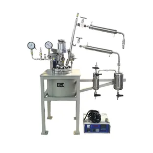 High pressure hydrogenation lab pyrolysis jacketed reactor with good price