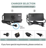 Batterie de vélo électrique haute performance Hailong G70 G80 36V 48V 52V 20Ah - Cellules de qualité A - BMS intelligent - Compatible avec les moteurs 500W-1000W