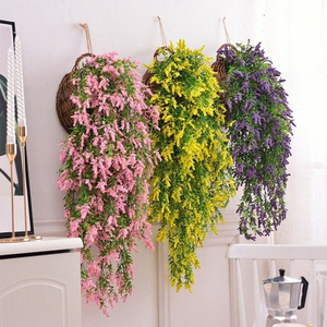 <span class=keywords><strong>Fittonia</strong></span> ห้อย5สาขาสำหรับตกแต่งสถานที่สาธารณะ - Product Image 5