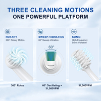 Brosse à dents électrique Rotasonic Premium 5 en 1, oscillation sonique, rotation 60 °   Capteur de pression LCD Sweep IPX8 OEM ODM