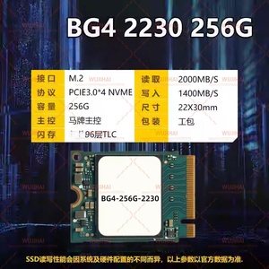 Disque SSD M.2 pour Ordinateur Portable et de Bureau BG4-256G-2230 - Product Image 2