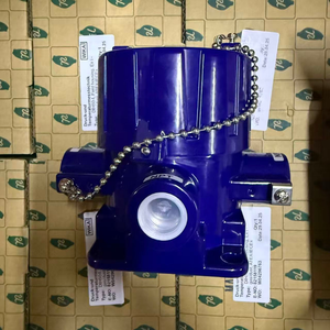 Rosemount 3051 máy phát áp lực + Hart lĩnh vực hiển thị dih50, dih52 wika chỉ số cho nước và xử lý nước thải - Product Image 3