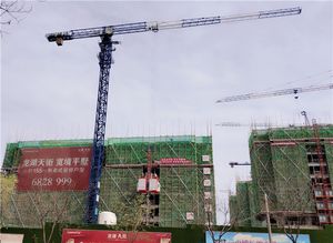 เครนทาวเวอร์ PT6520 ผลิตภัณฑ์ที่ทนทานและมีประสิทธิภาพสำหรับงานก่อสร้าง - Product Image 2