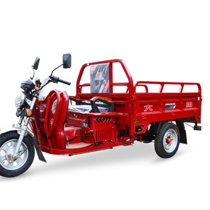 Motocicleta de Tres <span class=keywords><strong>Ruedas</strong></span> a Gasolina de 125cc/150cc, Tipo Abierto, para Adultos, con Capacidad de Carga de 1.6m, Accionamiento Eléctrico, Precio Competitivo - Product Image 4